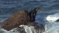 El difícil trabajo de los percebeiros para conseguir un manjar que alcanza ya los 200 euros el kilo