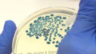 Descubierto un nuevo antibiótico con potencial para atacar a las superbacterias